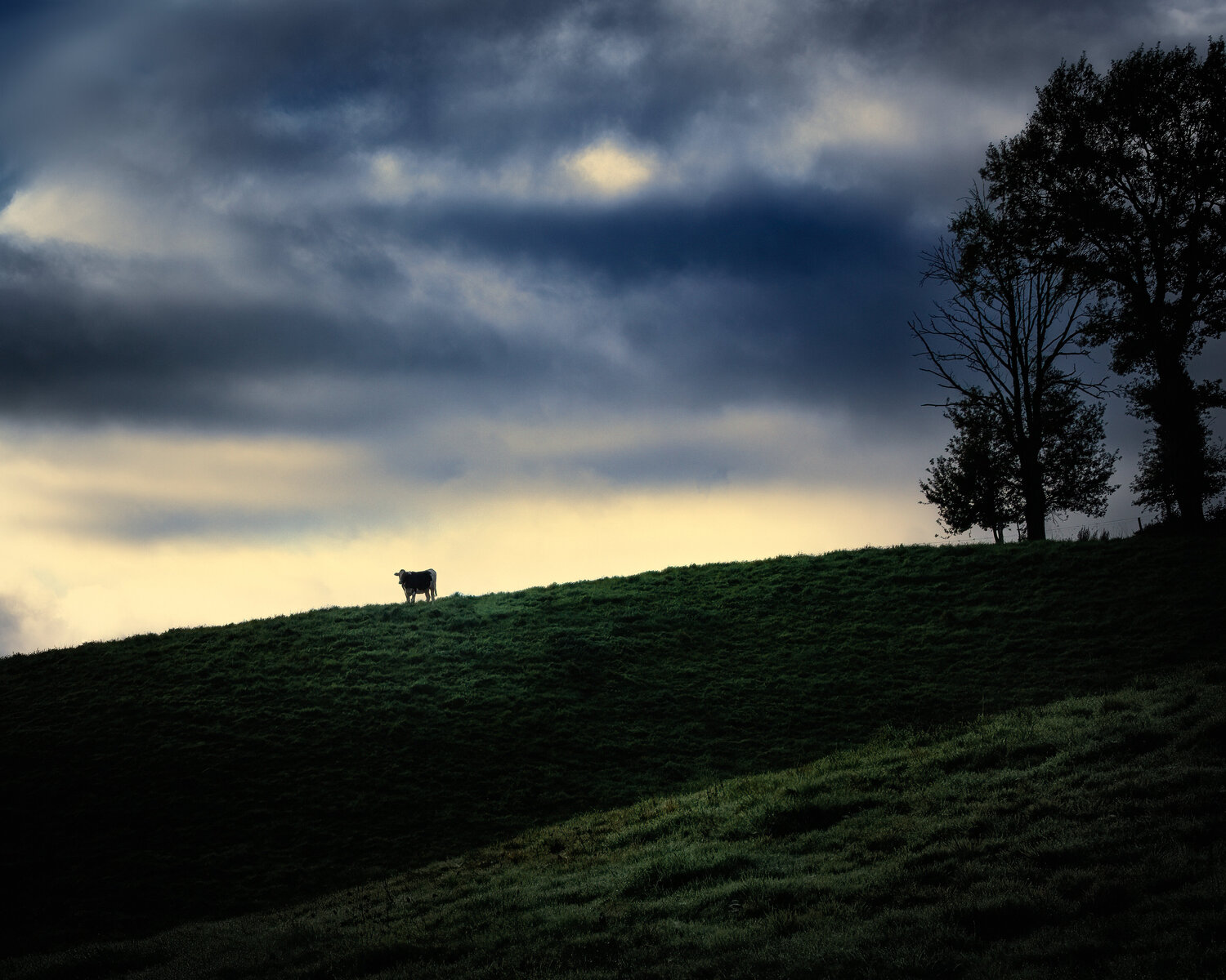 Paysage de Sénezergues - 06 PATRICIA BALITRAND Fotografie zu verkaufen