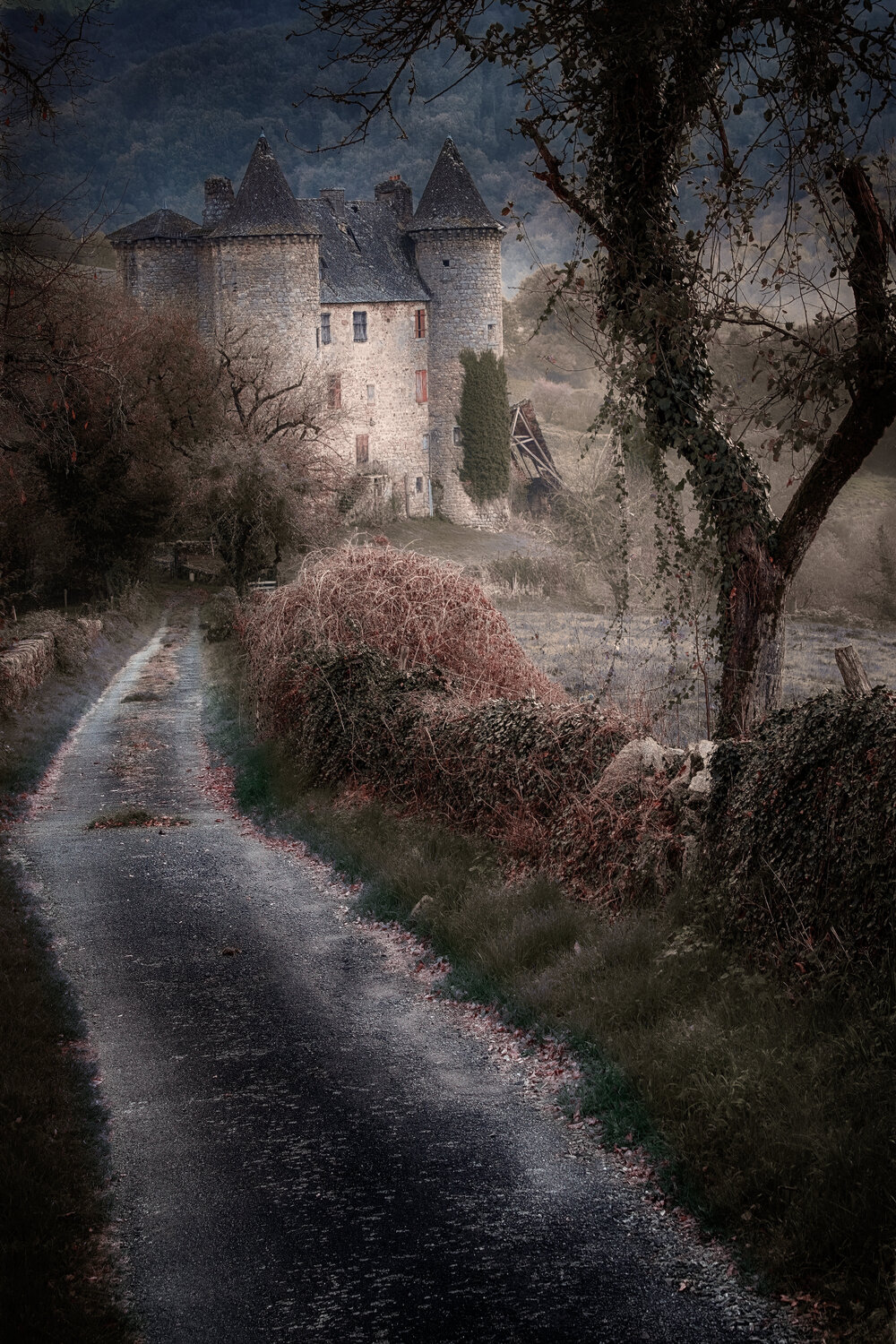 Le château de Sénezergues - 01 PATRICIA BALITRAND Fotografie zu verkaufen