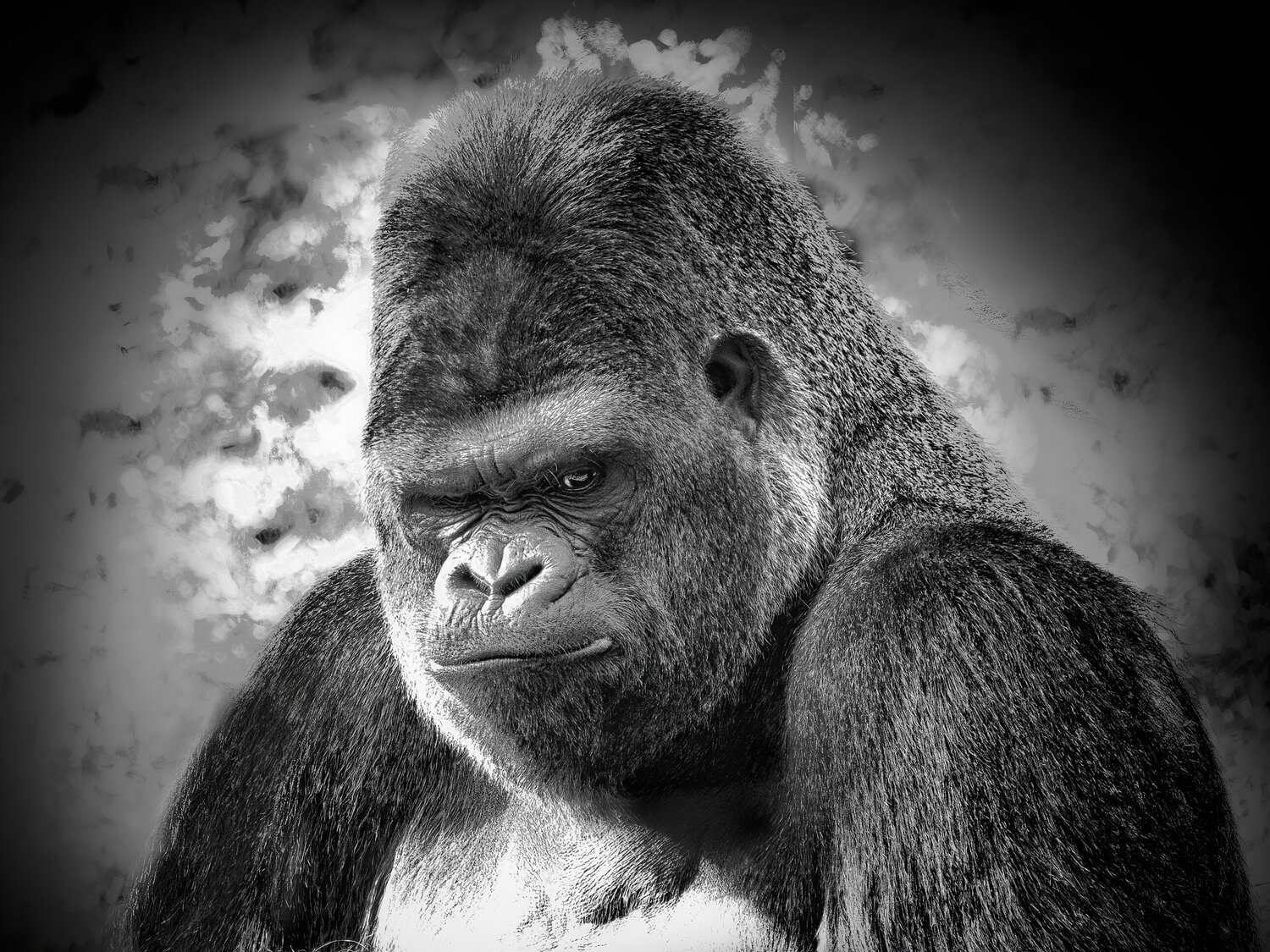 L’Ombre de la Sagesse PATRICIA BALITRAND