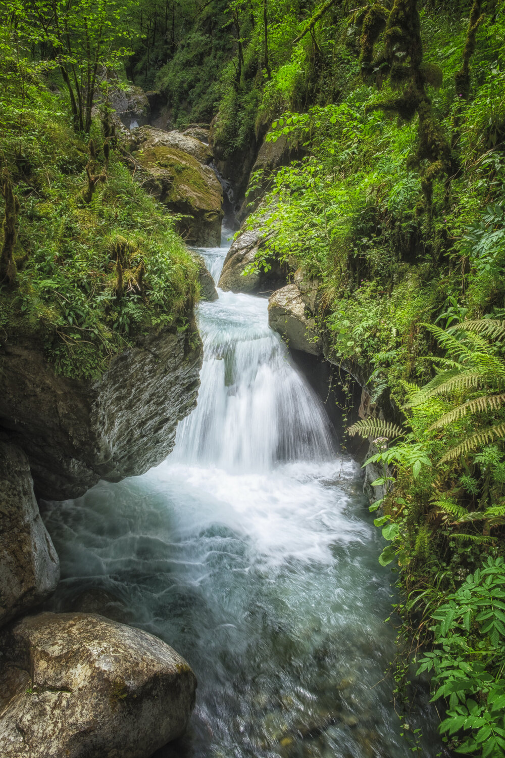 L'Écrin de Chloro-Saphir PATRICIA BALITRAND Fotografía en venta