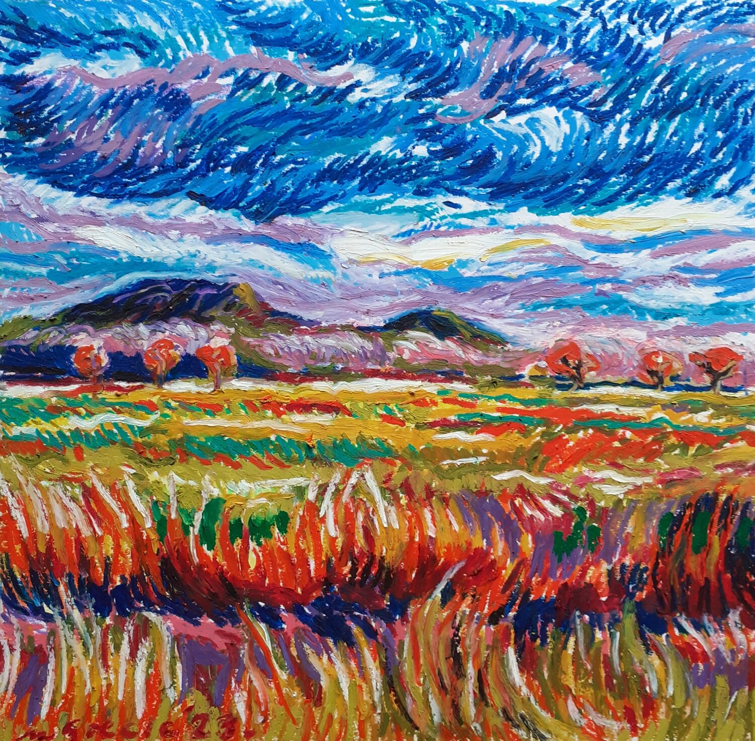 Desert sky with fiery grass Maja Grecic