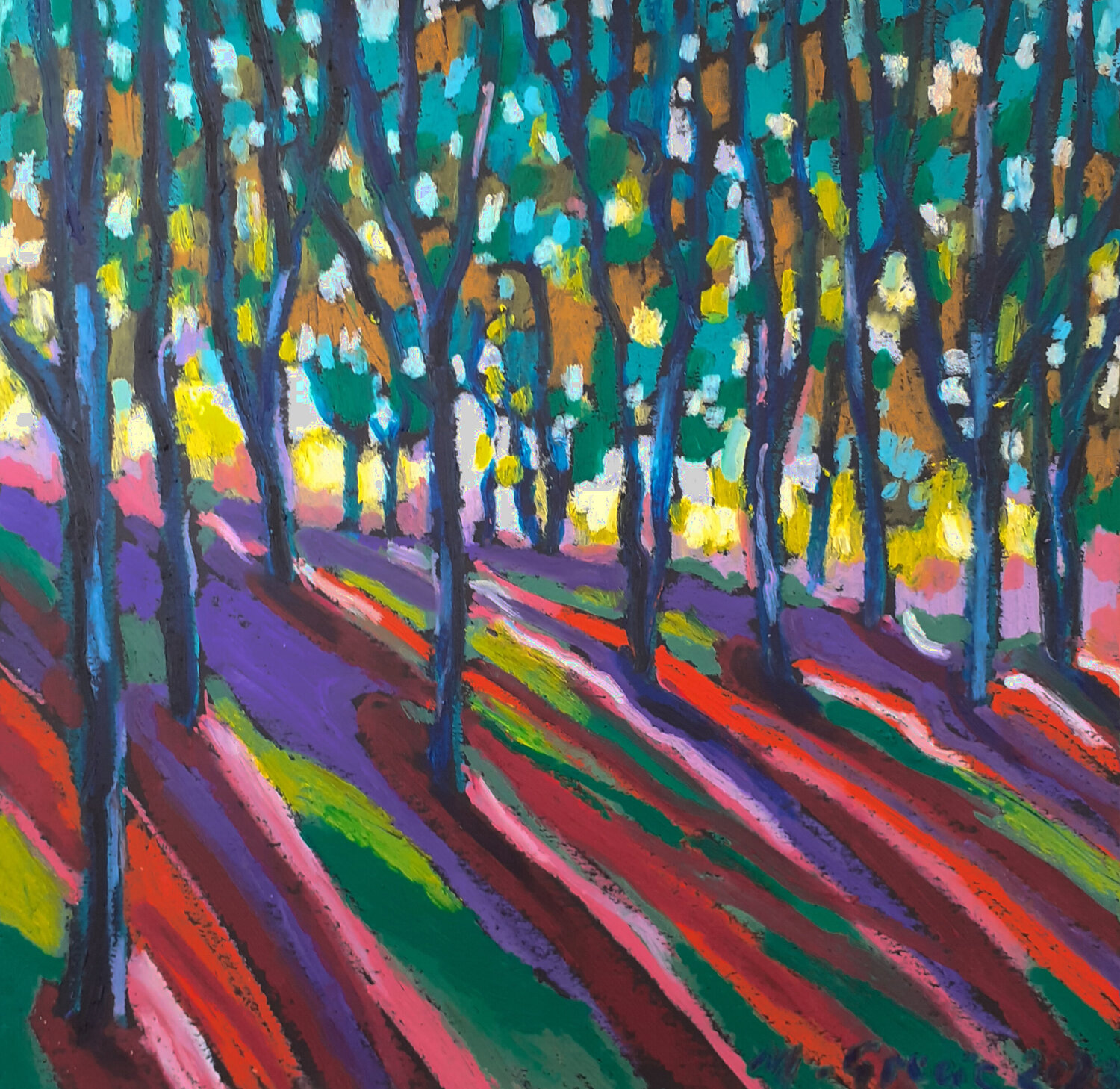 Colorful forest shadows Maja Grecic