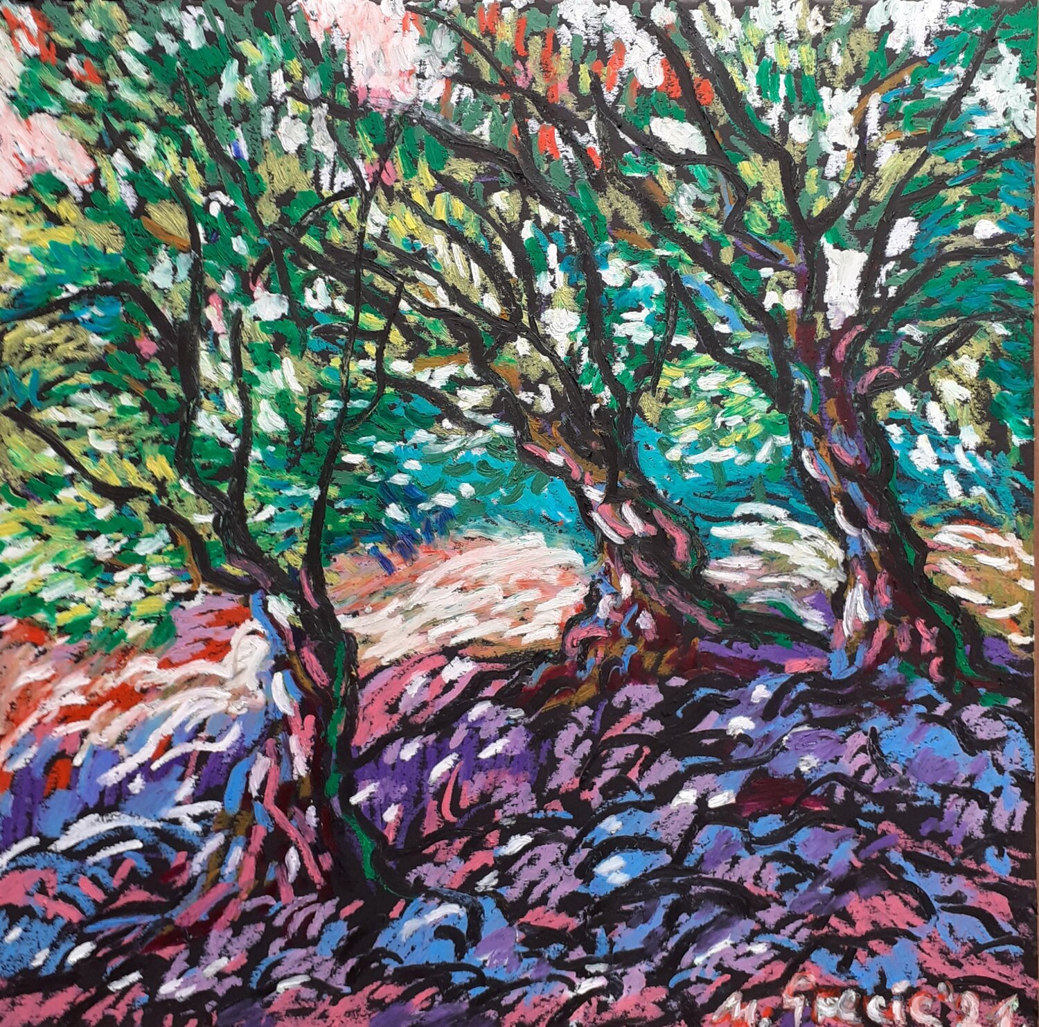 Purple shadow in orchard Maja Grecic