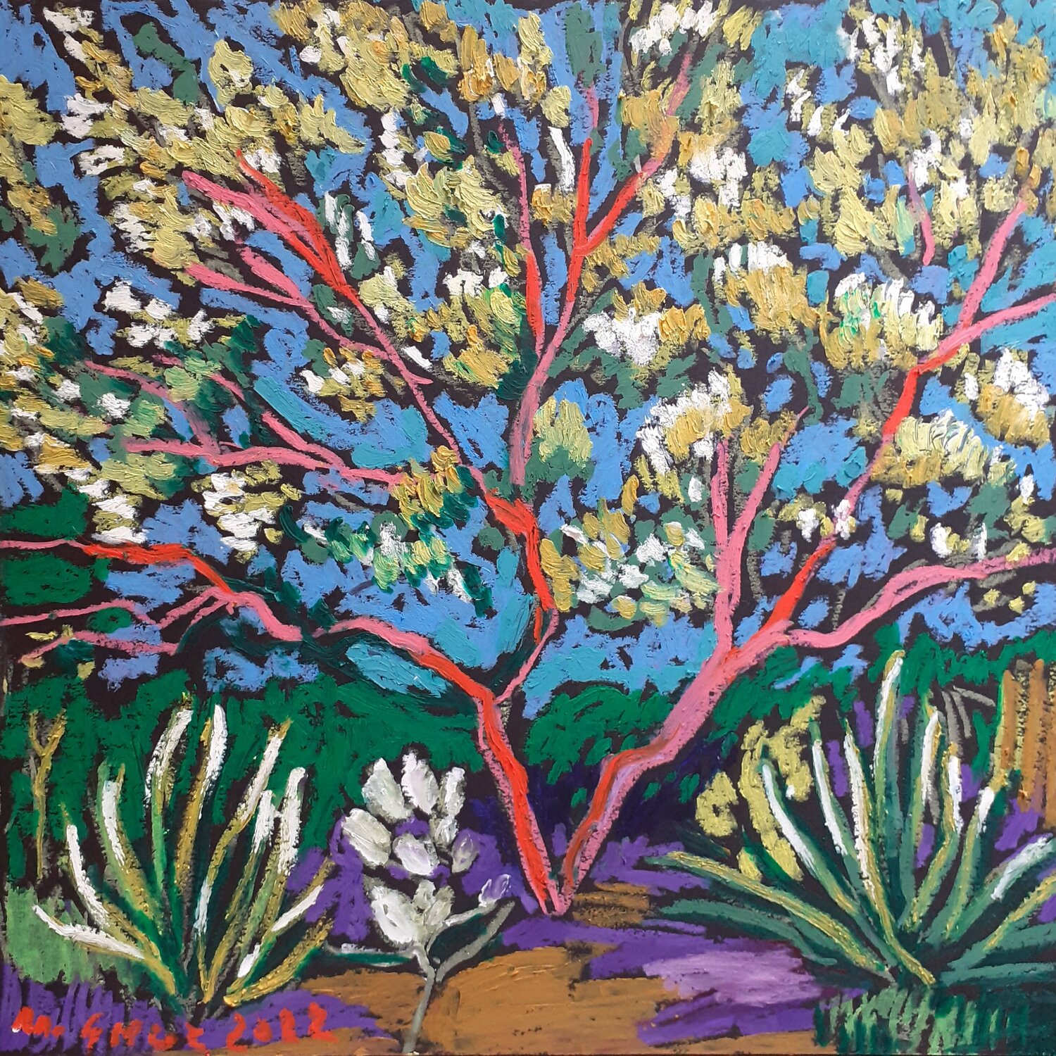Mediterranean garden with aloe plants Maja Grecic