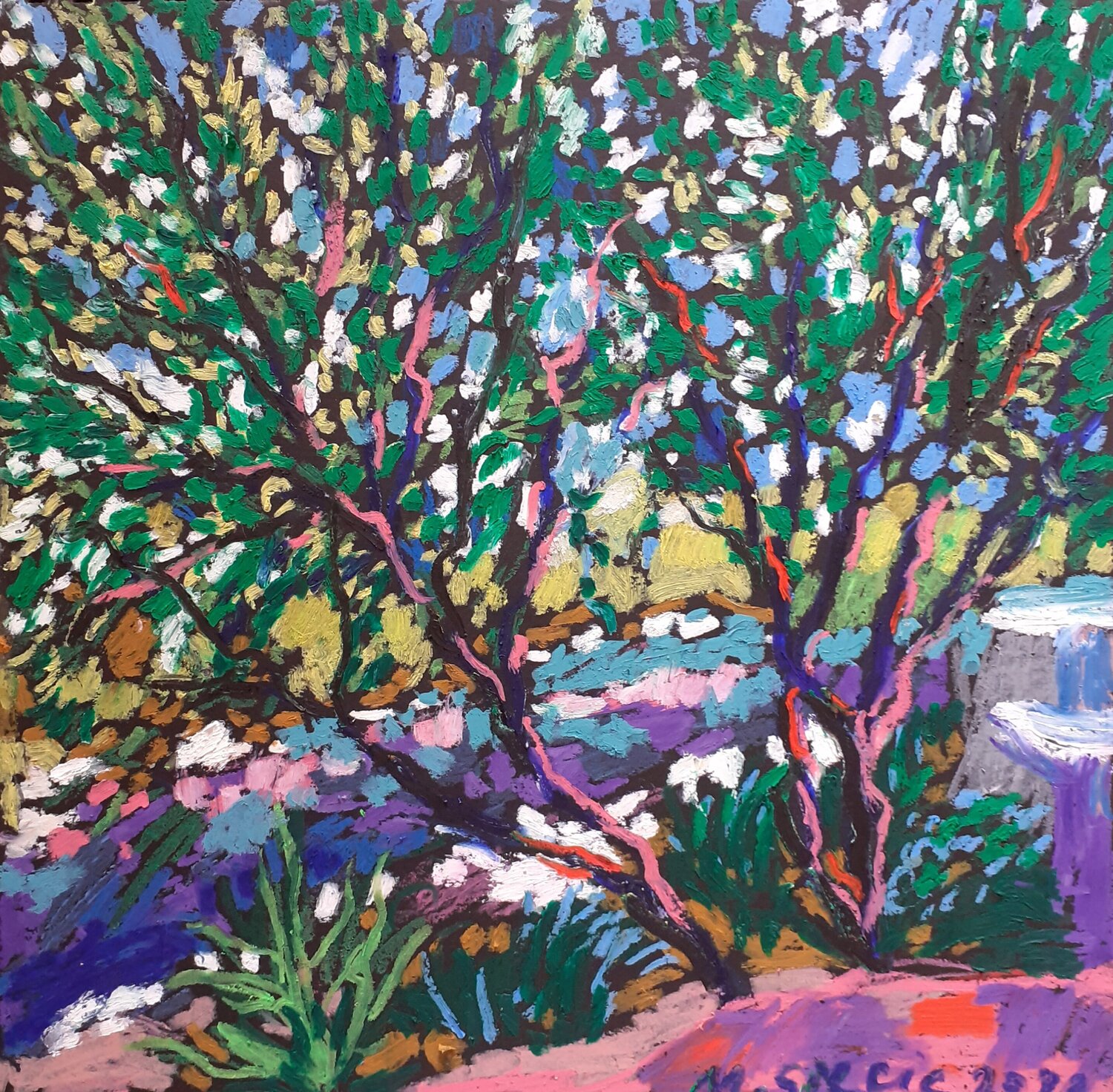 Mediterranean garden with aloe plants Maja Grecic