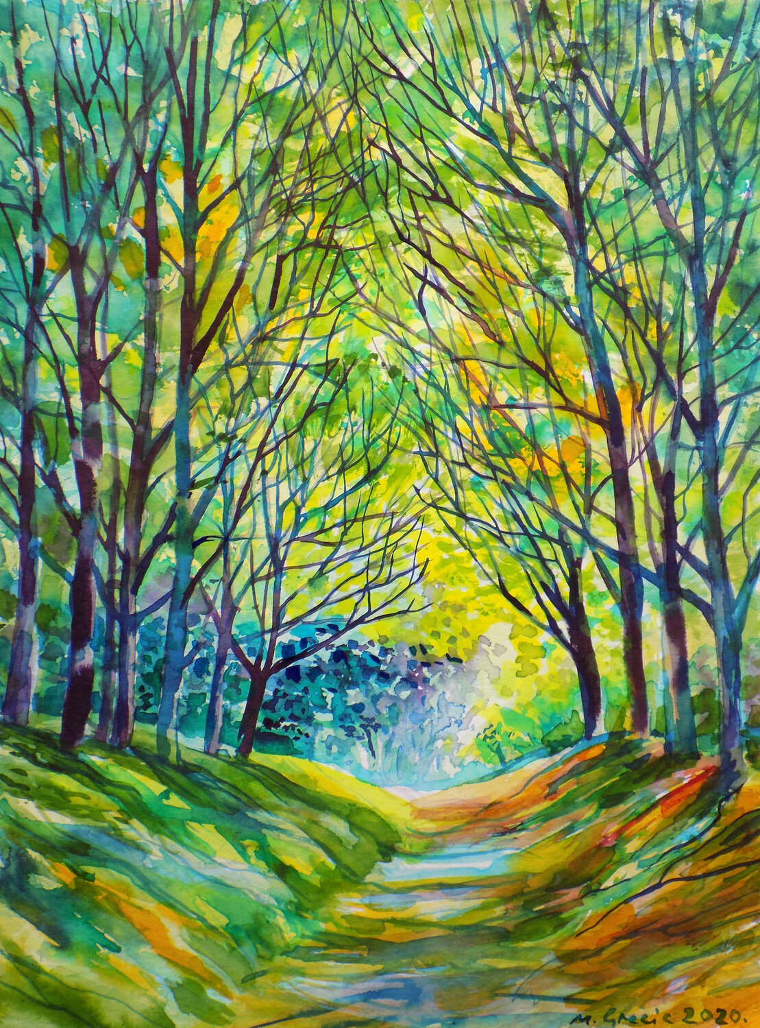 Forest path XVI Maja Grecic