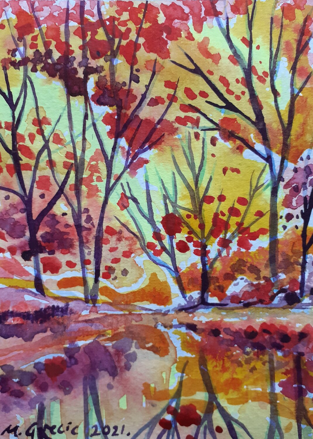 Autumn in the forest Maja Grecic