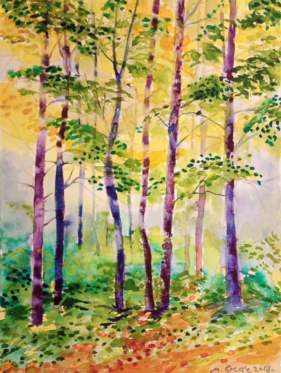 Trees in the mist Maja Grecic