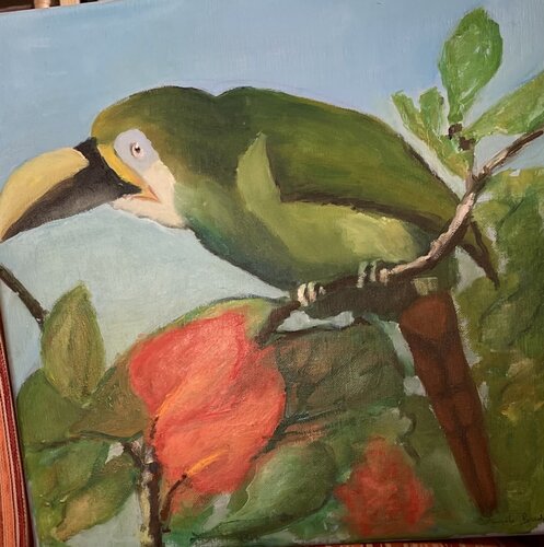 Le Toucan en observation van Daniele Badet, Schilderij te koop op Singulart
