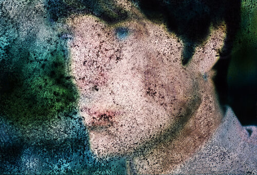 Savvy di rohn meijer, Fotografia in vendita su Singulart