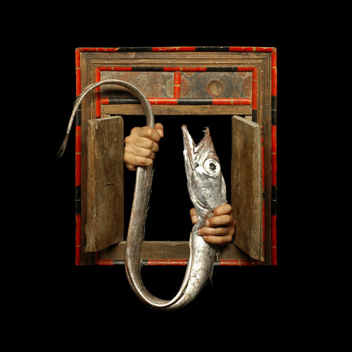 With This Fish di rohn meijer, Fotografia in vendita su Singulart