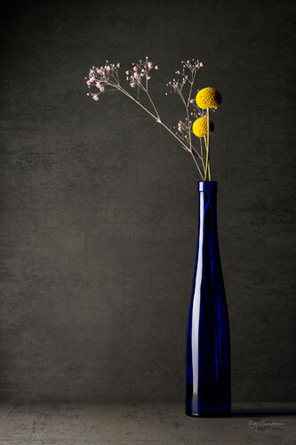 Blue Bottle 2025 | Dibond with Plexiglass von Robbert Frank Hagens, Fotografie kaufen auf Singulart