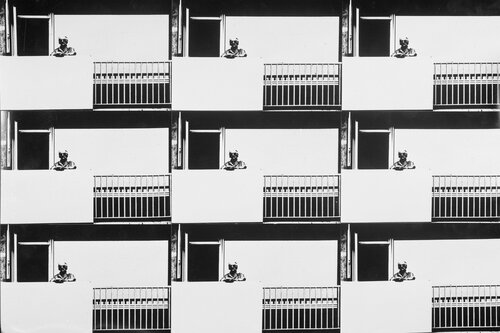 Getting Old - Photomontage 1976 von Robbert Frank Hagens, Fotografie kaufen auf Singulart
