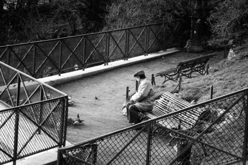 1976 | Small Bird - Park Montmartre - Paris | 70s Seventies Robbert Frank Hagens