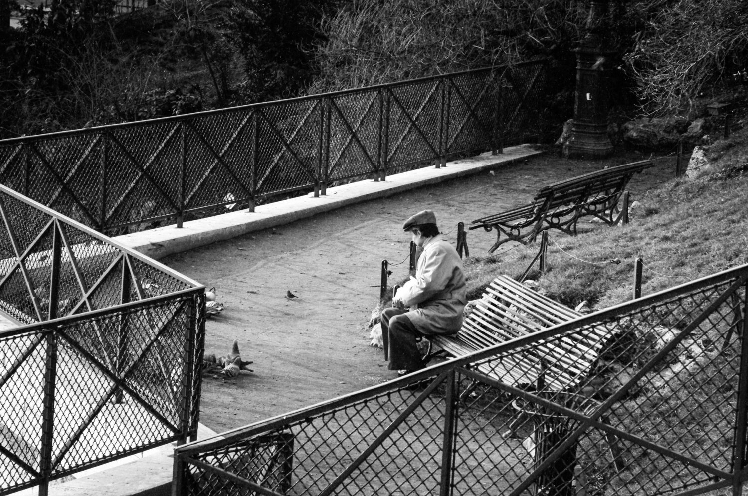 1976 | Small Bird - Park Montmartre - Paris | 70s Seventies Robbert Frank Hagens Fotografie zu verkaufen