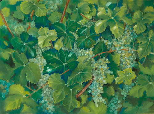 Summer Grapes on the Vine - Pastel on Paper de Jeanne Maze, Obra en papel a la venta en Singulart