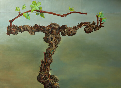 Vines in First Spring - Oil on Linen de Jeanne Maze, Pintura a la venta en Singulart