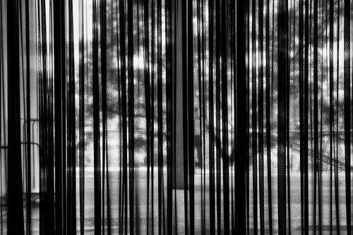 The other side of the curtain is green, I guess - Beautiful Borders V di Frank Verreyken, Fotografia in vendita su Singulart