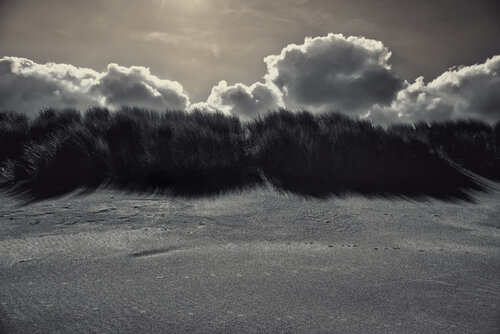 Landscape n°1 Frank Verreyken