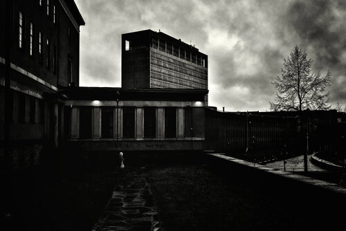 She and the World Around Her di Frank Verreyken, Fotografia in vendita su Singulart