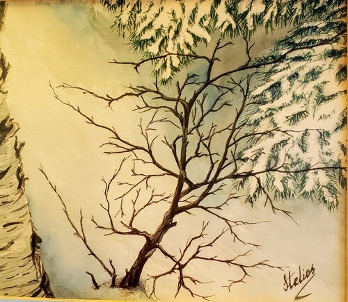 Silent Birch in Snow van Stelios Koutouvides, Schilderij te koop op Singulart