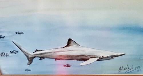 The Prowler van Stelios Koutouvides, Schilderij te koop op Singulart