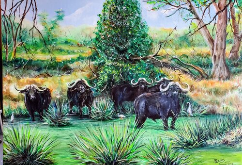 Water Buffalo territory van Stelios Koutouvides, Schilderij te koop op Singulart