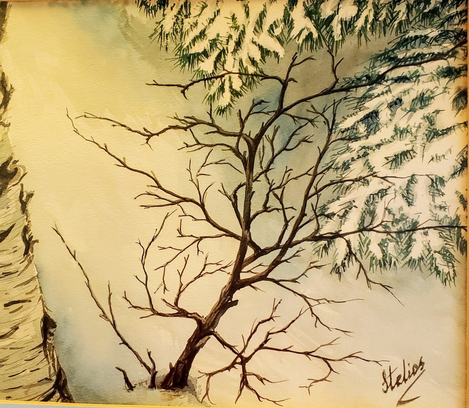 Silent Birch in Snow Stelios Koutouvides