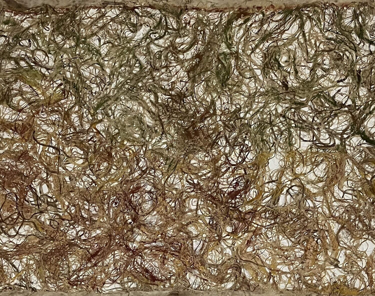 Il Suolo Lisa Marie Moulton