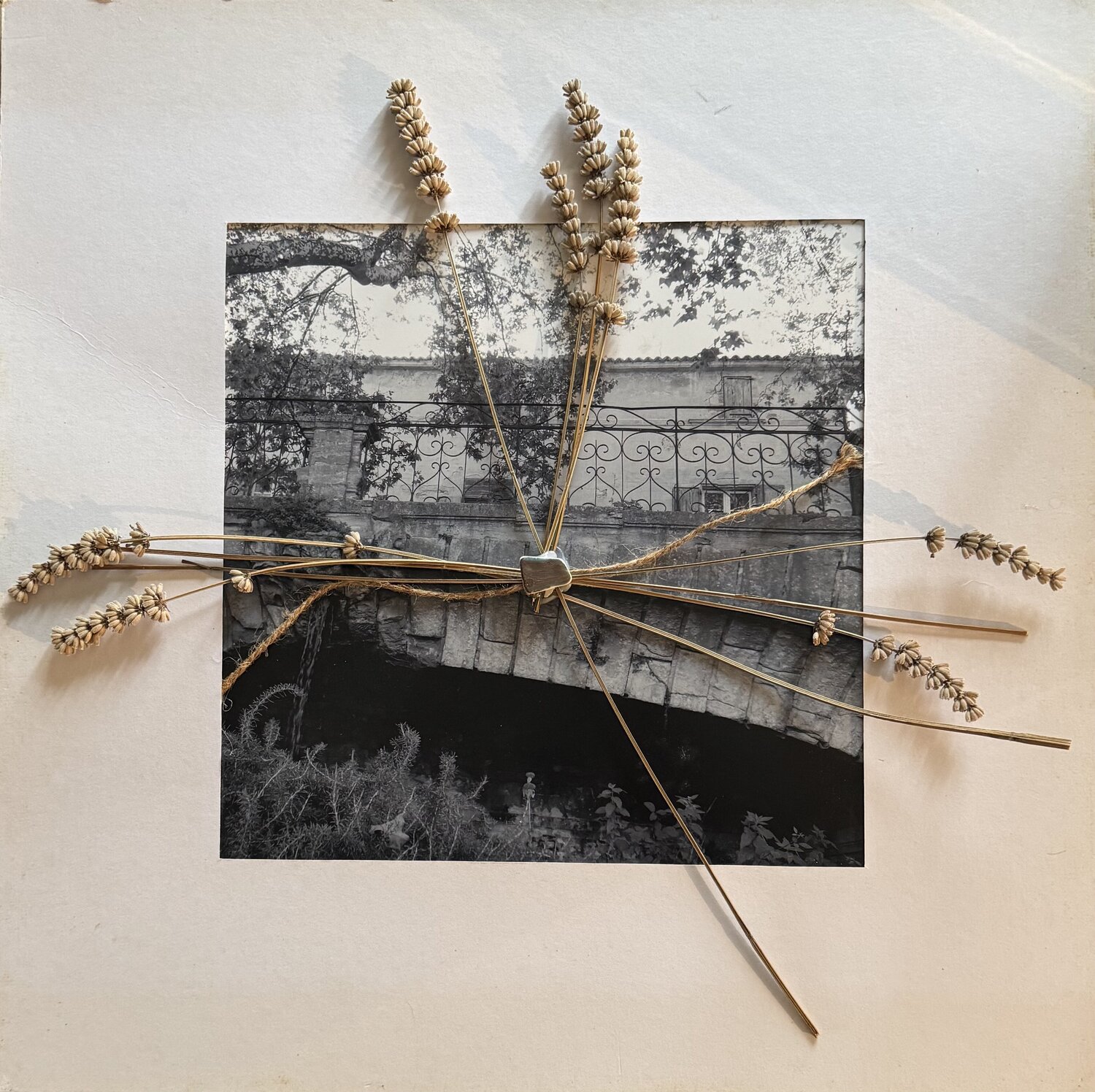 Un Ottima Annata Lisa Marie Moulton