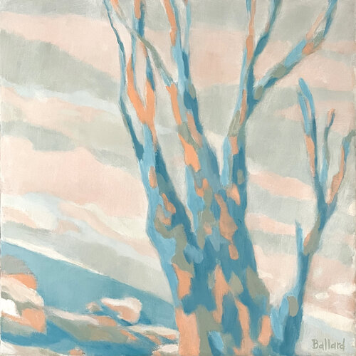 Edge Dwellers 2 van Kristine Ballard, Schilderij te koop op Singulart