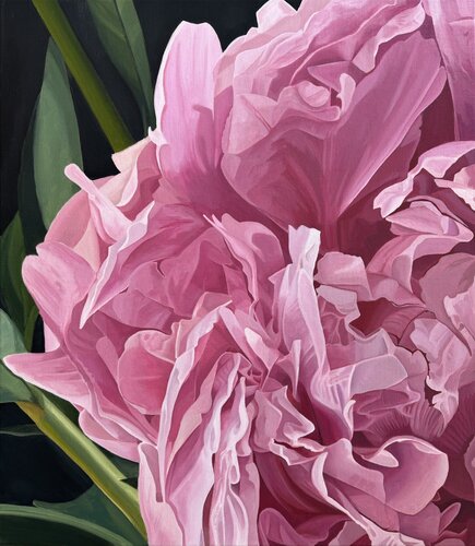 Magenta Magnificus Roman van Gelder