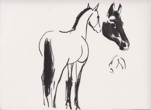 Champagne, Akhal Téké, au box by Alexandra Bergmans, Work on Paper for Sale on Singulart