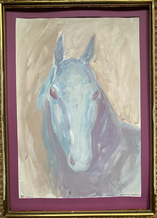 Portrait Artaban Alexandra Bergmans