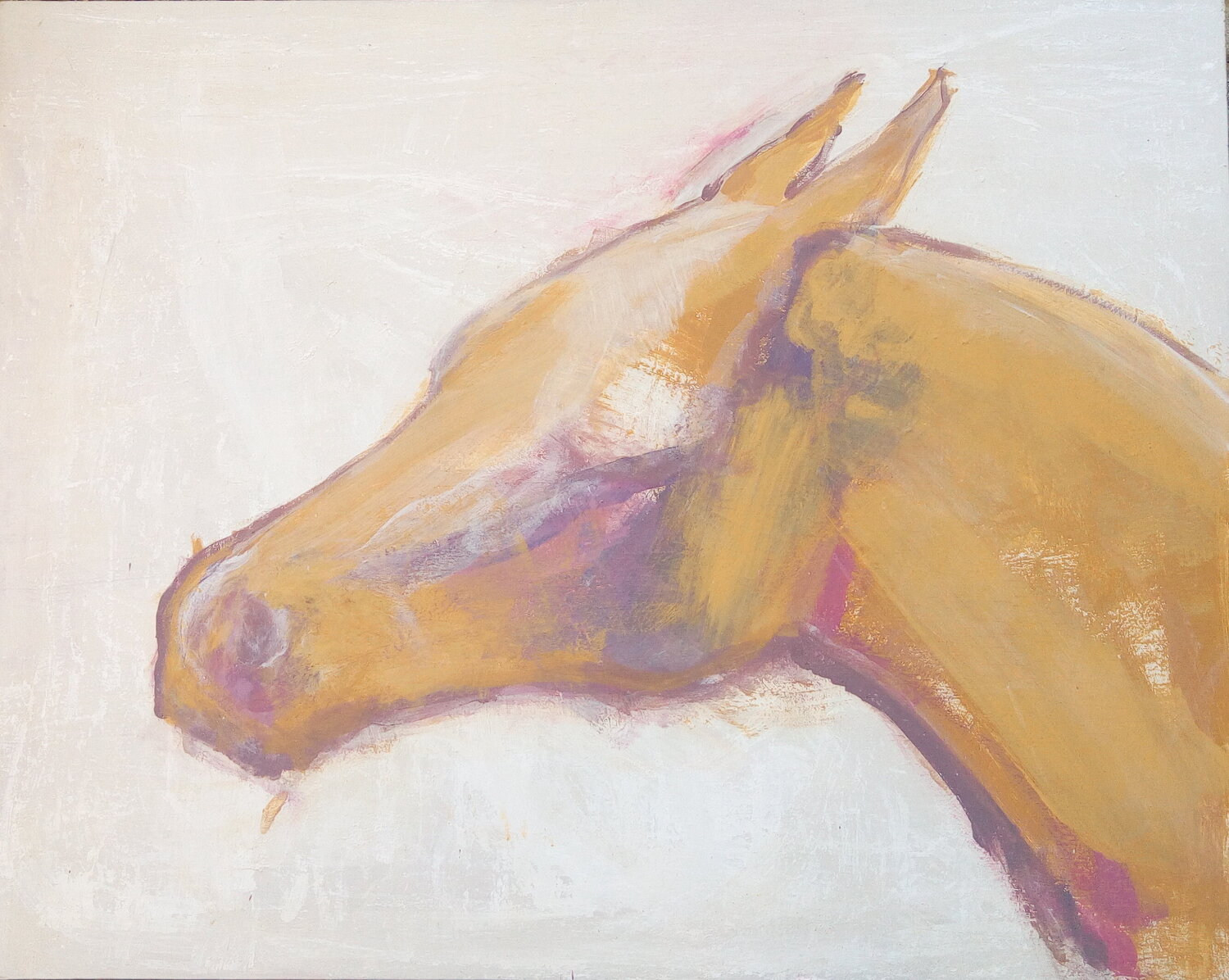 Tête de cheval 1 Alexandra Bergmans