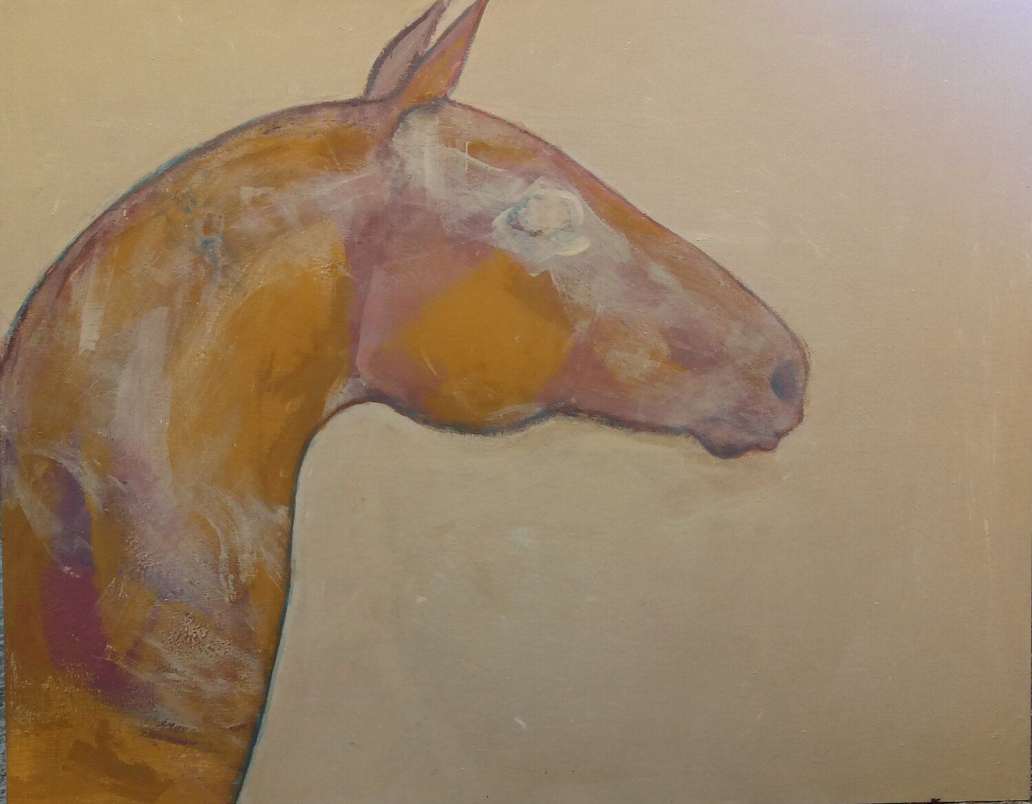Tête de cheval 2 Alexandra Bergmans