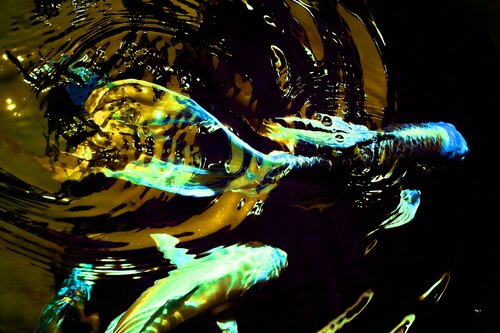 million$koi by Jürgen Barnickel, Photography for Sale on Singulart