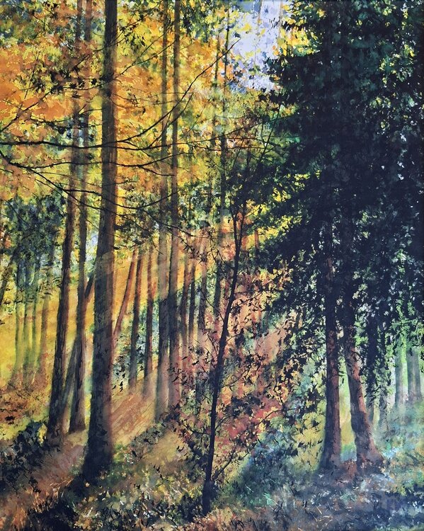 Autumn Forest Magic Katarina Vidmar