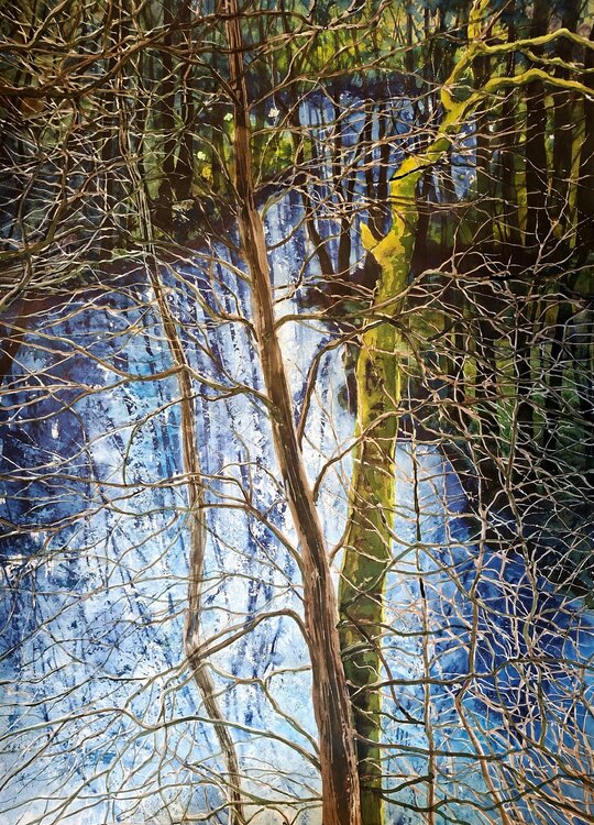 Reflection / Water Fairies Katarina Vidmar