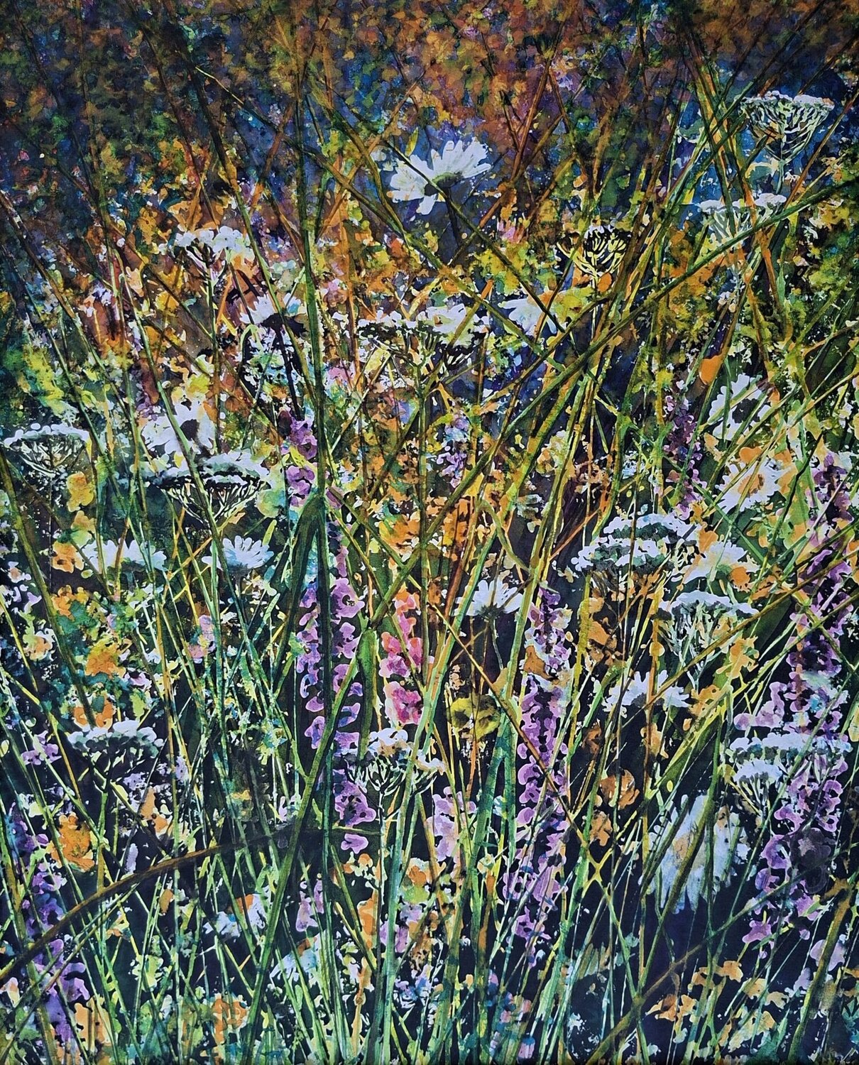Magic Meadow Katarina Vidmar