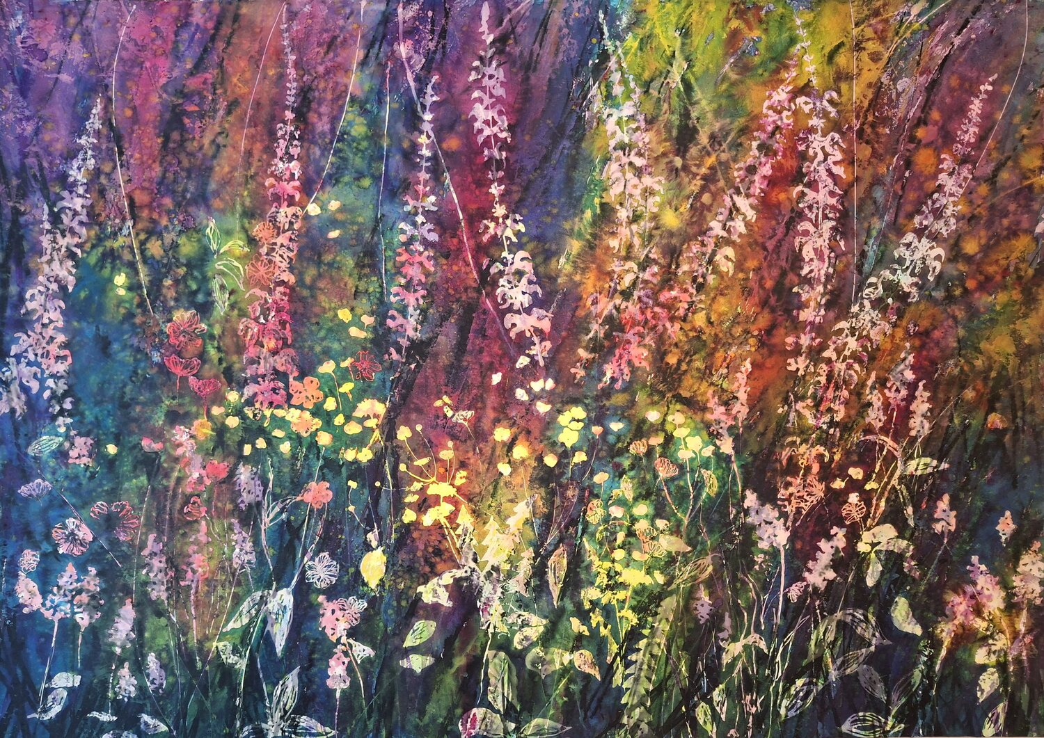 Wild Orchid Magic Katarina Vidmar