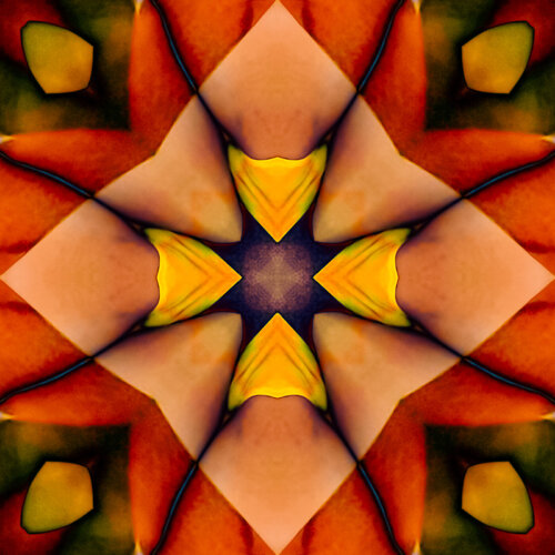 Stille Versammlung / Silent Assembly by Werner Fleischmann, Digital for Sale on Singulart