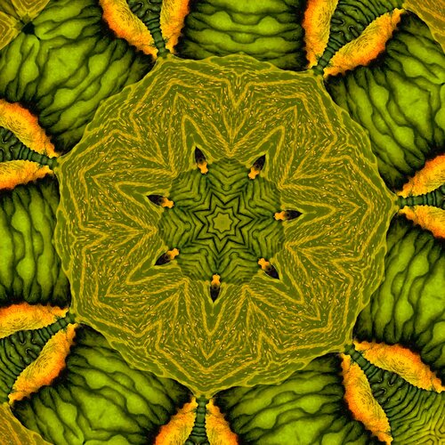 Kreis des Werdens / Circle of Becoming by Werner Fleischmann, デジタル for Sale on Singulart