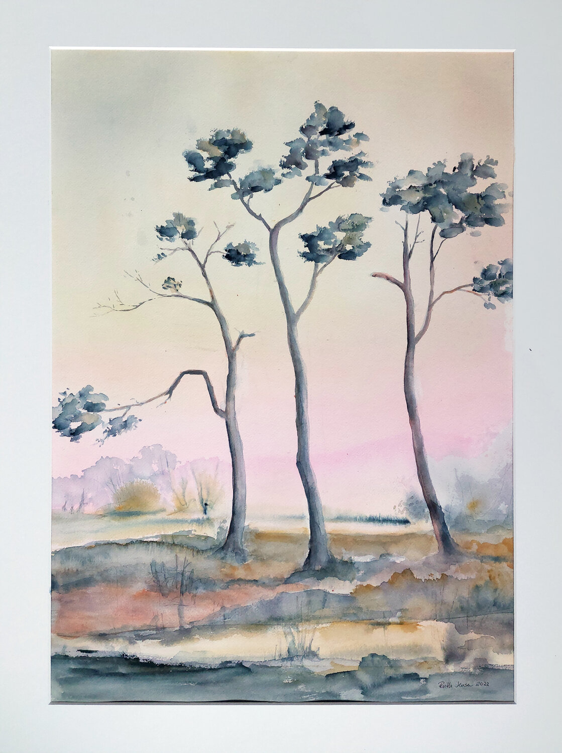 Pine trees at dawn Ruth Jensen