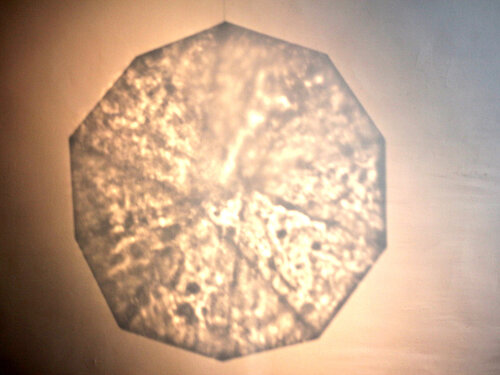 Photographie impression sur aluminium #7 di Gaëlle VAILLANT, Fotografia in vendita su Singulart