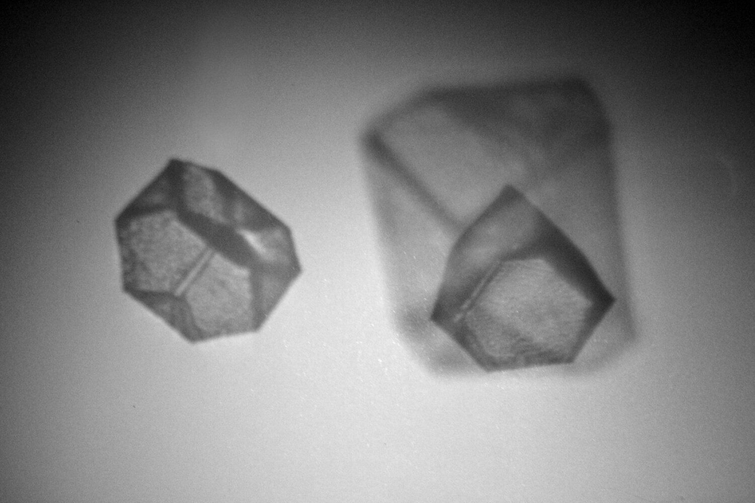 Photographie impression sur aluminium #1 Gaëlle VAILLANT