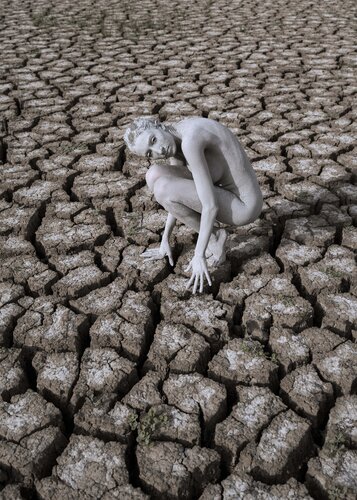 Radici von Pietro Calligaris, Fotografie kaufen auf Singulart