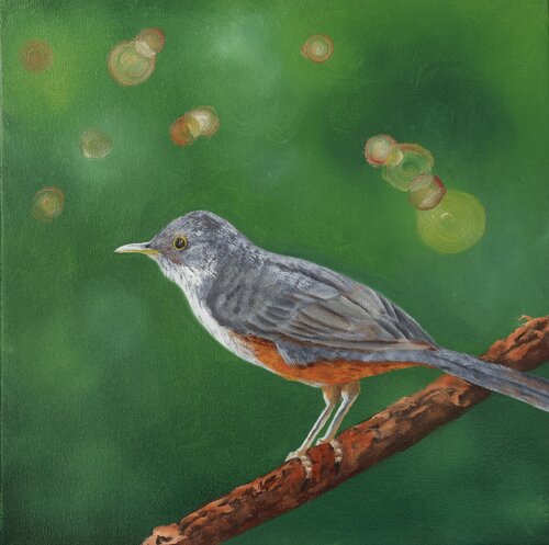 Sabiá-Laranjeira by Bruna Carvalho da Silva, Painting for Sale on Singulart