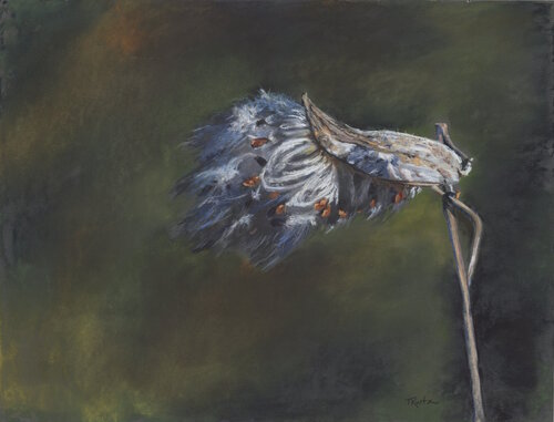 Wind Dancer von T Kurtz, Zeichnungen kaufen auf Singulart