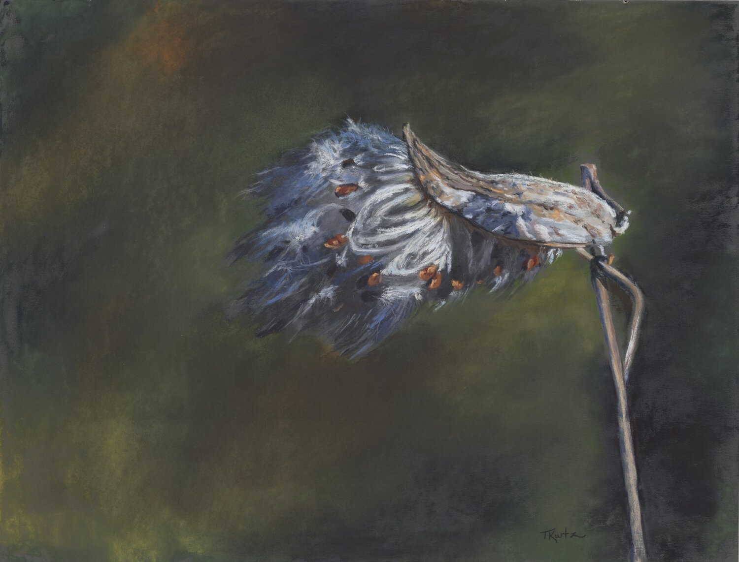 Wind Dancer T Kurtz